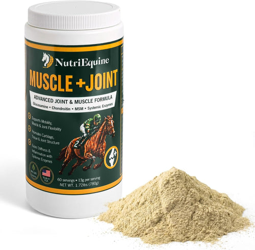 NutriEquine Muscle + Joint Supplement Powder