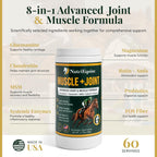 8-in-1 advanced joint and muscle formula: glucosamine, chondroitin, MSM, systemic enzymes, magnesium, rutin and amla, probiotics, FOS fiber