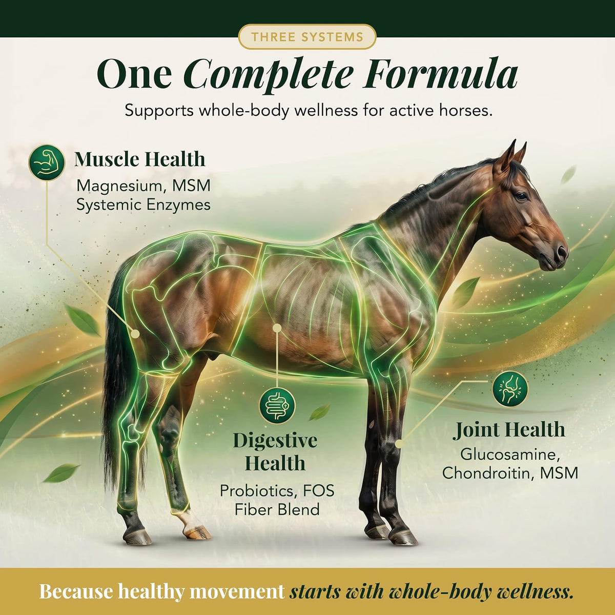 One complete formula supporting three systems: muscle health, digestive health and joint health