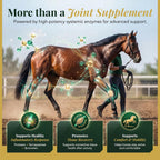 More than a joint supplement: protease, serrapeptase and bromelain systemic enzymes for inflammatory response, tissue recovery, comfort and mobility