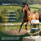 Supports joint flexibility, muscle recovery, cartilage, mobility, connective tissue health and daily performance