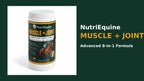 NutriEquine Muscle + Joint Supplement Powder