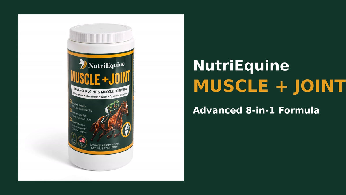 NutriEquine Muscle + Joint Supplement Powder